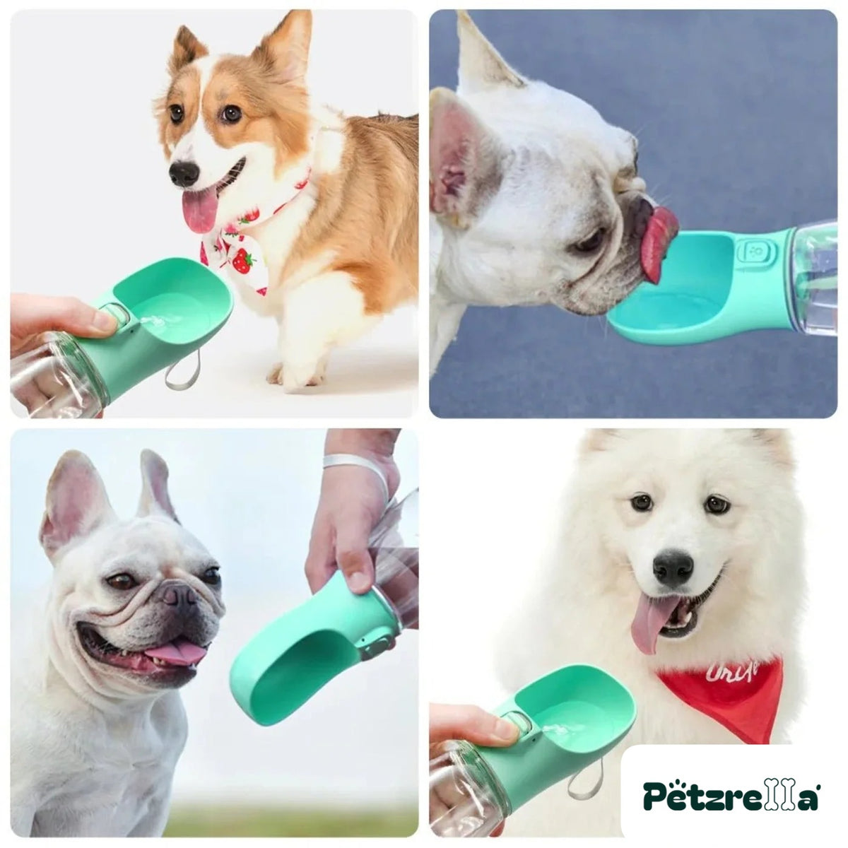 Petzrella Portable Pet Water Bottle for Dogs – view 2