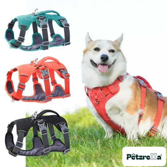 Petzrella Reflective Vest Dog Harness – Adjustable with Lift Handle