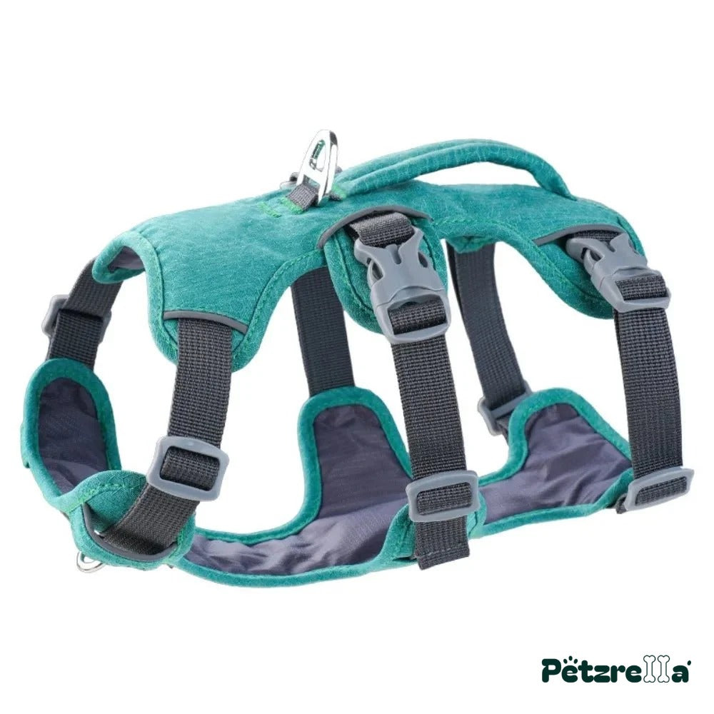 Petzrella Reflective Vest Dog Harness – Green-S