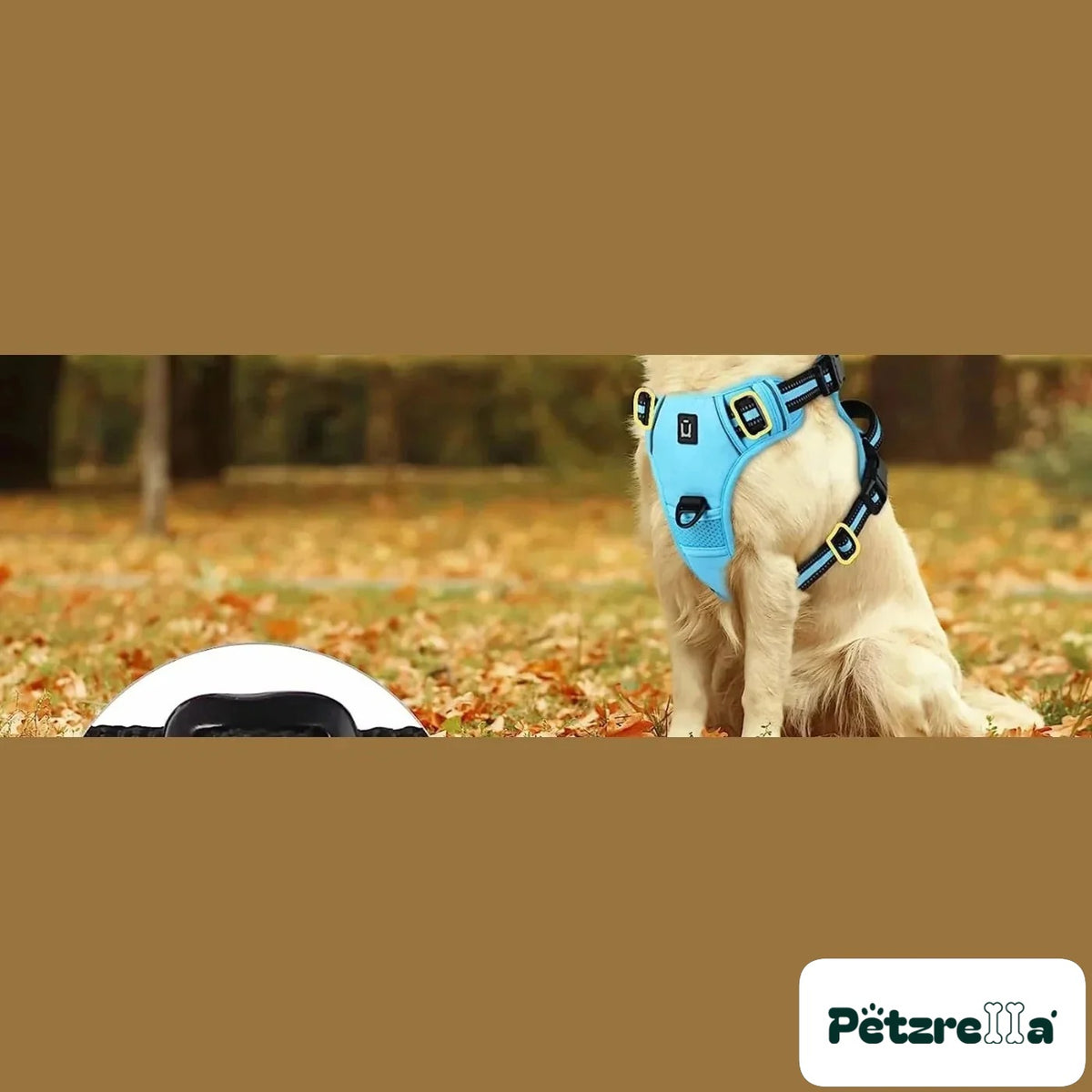 Petzrella Reflective No-Pull Dog Harness – view 2