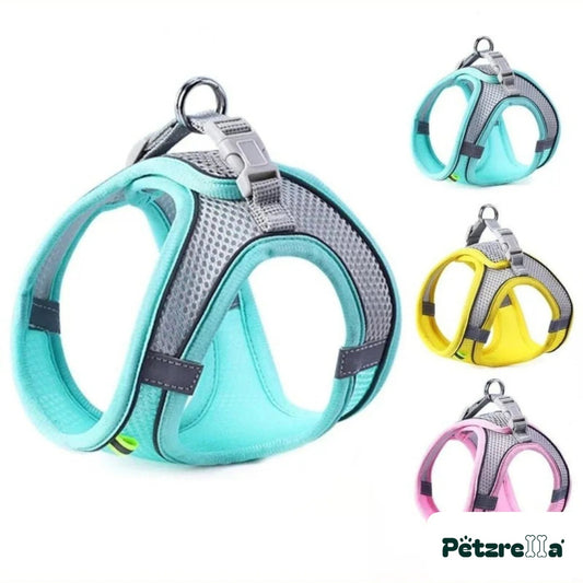 Petzrella Reflective Padded Dog Harness & Leash Set – Blue / S