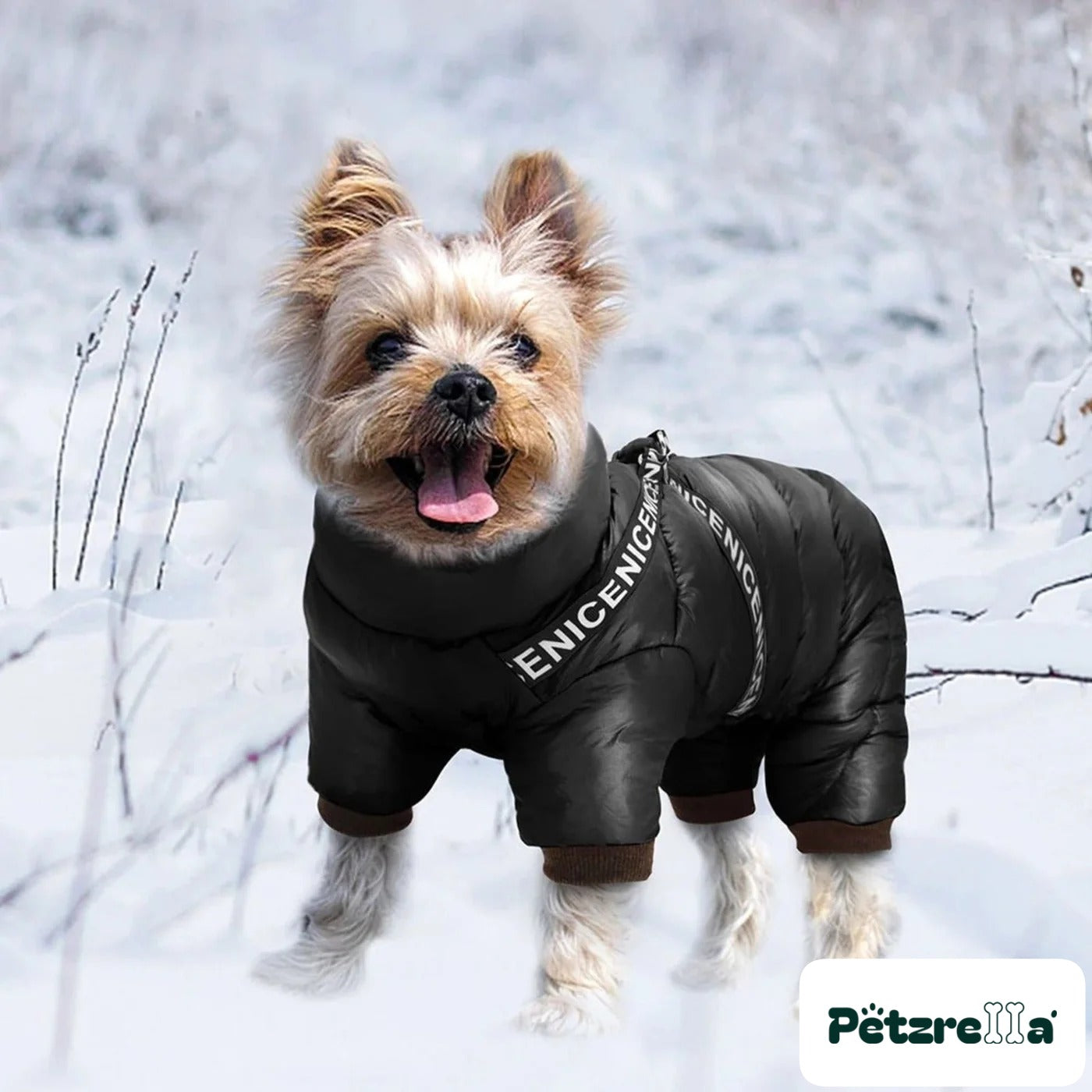 Petzrella Winter Dog Coat – view 3
