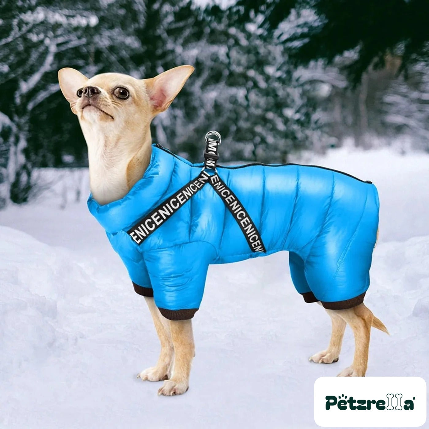 Petzrella Winter Dog Coat – Blue / 10