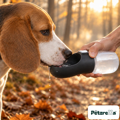 Petzrella Portable Pet Water Bottle in black