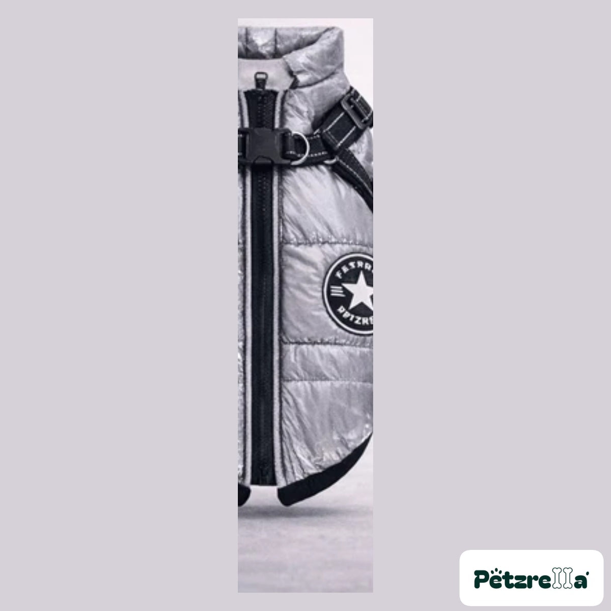 Petzrella winter dog jacket in silver grey