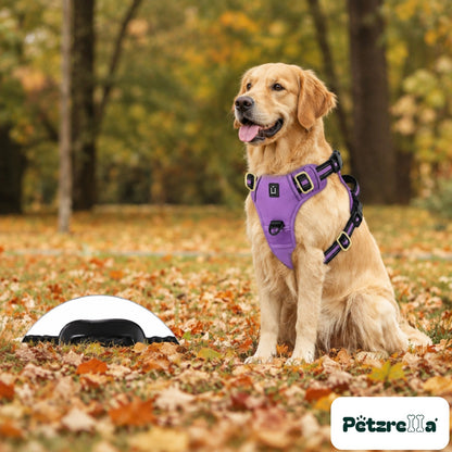Petzrella Reflective No-Pull Dog Harness - Purple